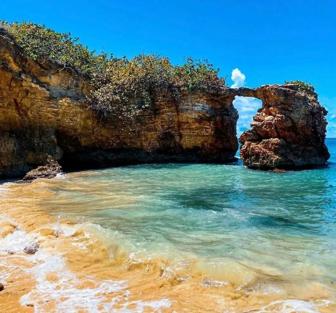 빌라 Combate El Carribe Paradise 카보조로 푸에르토리코